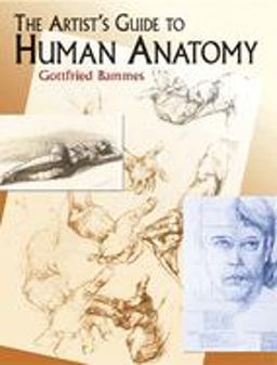 Artist's Guide to Human Anatomy  9780486436418 Front Cover