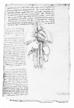 Leonardo's Anatomical Drawings