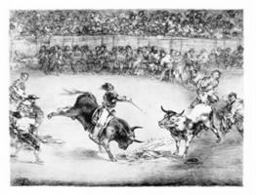 Great Goya Etchings The Proverbs, the Tauromaquia and the Bulls of Bordeaux  9780486447582 Front Cover