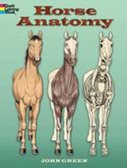 Horse Anatomy  9780486448138 Front Cover