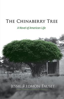 Chinaberry Tree A Novel of American Life  9780486493220 Front Cover