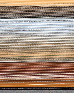 State and Local Politics