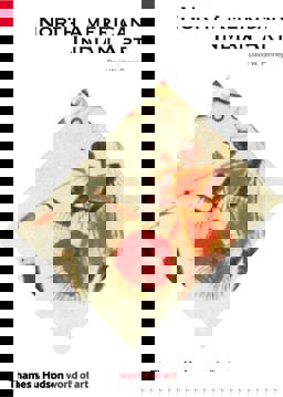 North American Indian Art  9780500203774 Front Cover