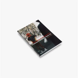 Experience or Interpretation The Dilemma of Museums of Modern Art  9780500282168 Front Cover
