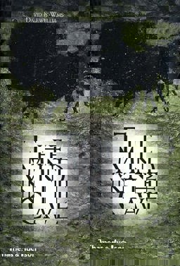 Mind in the Cave Consciousness and the Origins of Art  9780500284650 Front Cover