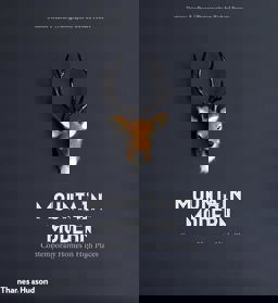 Mountain Modern Contemporary Homes in High Places  9780500292563 Front Cover