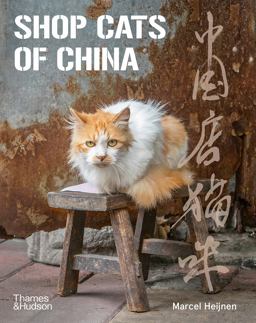 Shop Cats of China  9780500296110 Front Cover