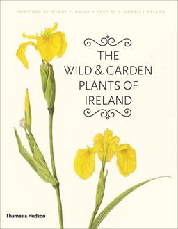 Wild and Garden Plants of Ireland  9780500514566 Front Cover