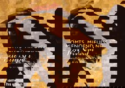 Moments of Mindfulness: Latin Spirit