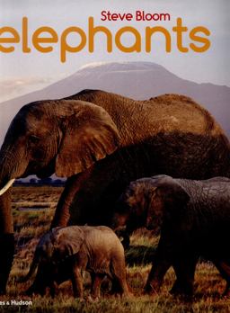 Elephants  9780500650554 Front Cover