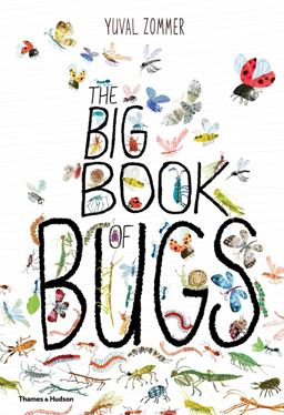 Big Book of Bugs  9780500650677 Front Cover