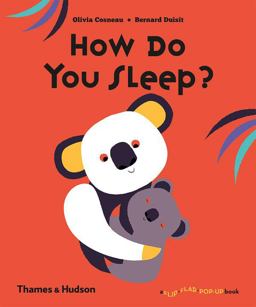 How Do You Sleep?  9780500651445 Front Cover