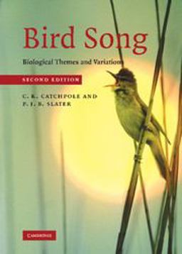 Bird Song