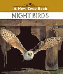 Night Birds Night Birds