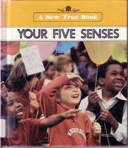 Your Five Senses