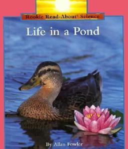 Life in a Pond