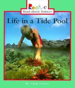 Life in a Tide Pool