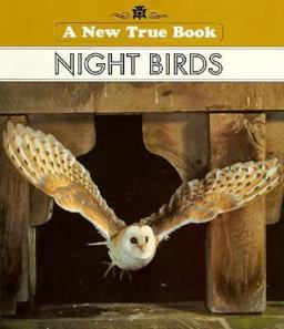 Night Birds Night Birds