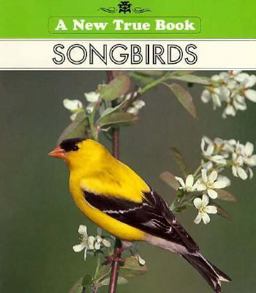 Songbirds Songbirds