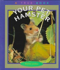Your Pet Hamster
