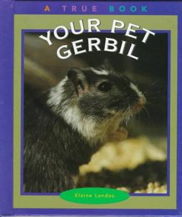 Your Pet Gerbil