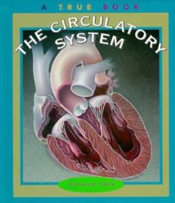 The Circulatory System