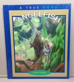 Angelfish