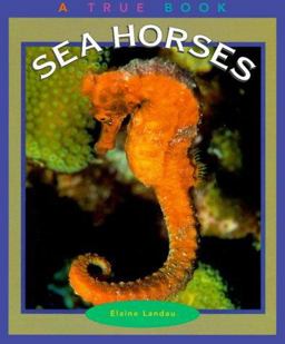 Sea Horses