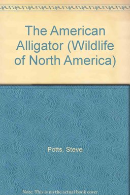 American Alligator American Alligator