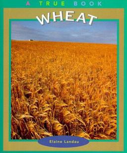 Wheat