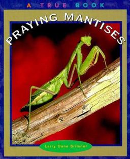 Praying Mantises