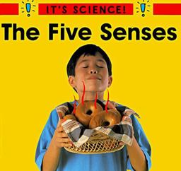The Five Senses