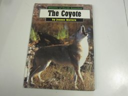 The Coyote
