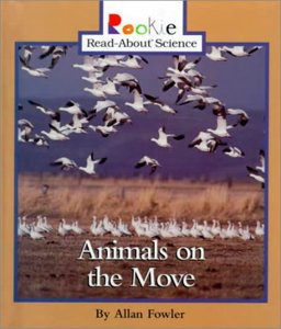 Animals on the Move