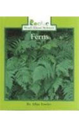 Ferns