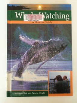 Whale Watching