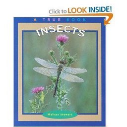 Insects