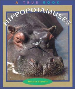 Hippopotamuses