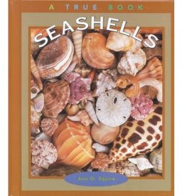 Seashells