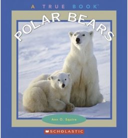 Polar Bears