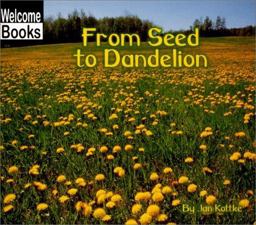 From Seed to Dandelion