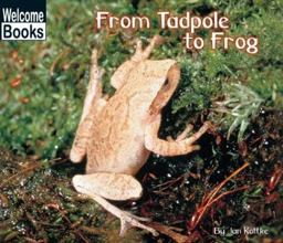 From Tadpole to Frog