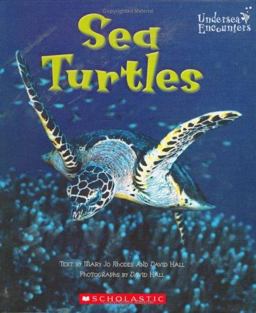 Undersea Encounters: Sea Turtles
