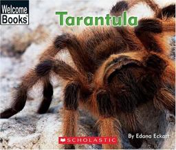 Tarantula