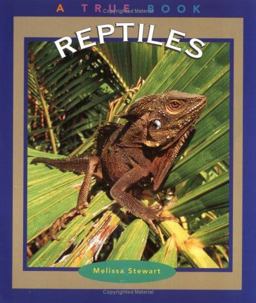Reptiles