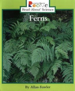 Ferns