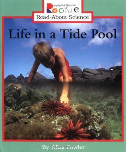 Life in a Tide Pool