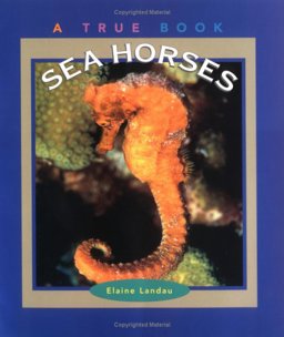 Sea Horses