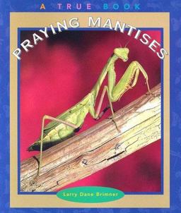 Praying Mantises