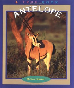 Antelope